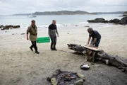 New Zealand - Local fishermen Zane (L) and Fluff (R) prepare to teach Gordon Ramsay (center) how to cook pāua on a beach in New Zealand.