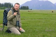 Bärenforscher Chris Morgan in einer der ausgedehnten Sauergraswiesen an der Katmai-Küste in Alaska. Sie sind eine wichtige Nahrungsquelle für Braunbären.