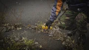 Die Strahlenjäger