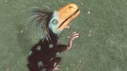 Der Dromaeosaurus hat ein Kleid aus Federn