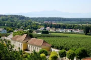 Vom Montfort-Schloss Tettnang hat man einen wunderbaren Blick auf Säntis.