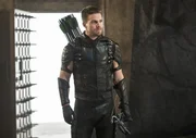 The Arrow (Stephen Amell)