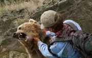 Wenn Menschen Bären in freier Wildbahn begegnen, kann es für den Menschen tödlich enden./Wenn Menschen Bären in freier Wildbahn begegnen, kann es für den Menschen tödlich enden.