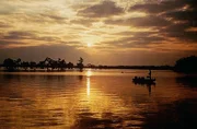 Amerikas schoene Fremde - wundersame Landschaften des Bayou im Bundesstaat Louisisana