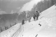 Der Sonnberg im mittleren Vintschgau ist ein extrem steiles Gelände, aber die hier lebenden Bauern haben sich daran gewöhnt.