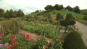 Blick in den Schlossgarten Wildegg in der Schweiz.