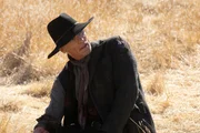 Man in Black (Ed Harris)