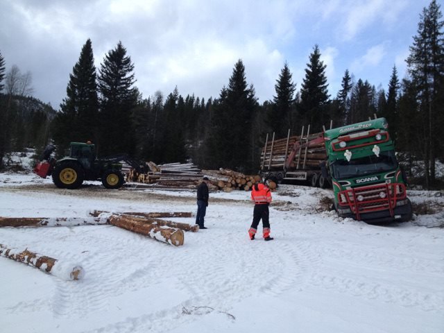 OVERHALLA, NORWAY - A timber truck has slid off the road whilst the driver was loading timber.??