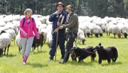 WDR Fernsehen MIT BOCK DURCHS LAND, "Folge 5 Ein Kennenlernen einer völlig neuen Welt", am Mittwoch (17.06.15) um 21:00 Uhr.
Die beiden Aushilfsschäfer Ruth Moschner (l) und Ingo Naujoks (M) unterwegs mit Wanderschäfer Maik Randolph.