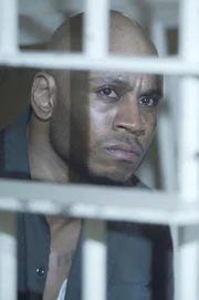 Der aggressive Schwerverbrecher und Mörder Clarence (LL Cool J) soll hingerichtet werden, doch Dr. House' Diagnose wirft ein überraschend neues Licht auf die Motive des Gewalttäters.