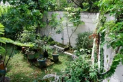 In ihrem Garten hat die Herbalistin Endah Lasmadiwati über 400 indonesische Heilpflanzen versammelt. Von hier aus erforscht und verbreitet sie die Jamu-Kräuterheilkunst.