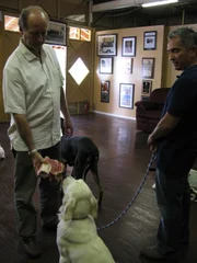 Familie Murray hat große Probleme mit ihrem Golden Retriever Cricket. Lyndon (l.) wurde sogar vor kurzem von dem Hund angegriffen. Kann der Hundeflüsterer Cesar Millan (r.) helfen?