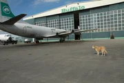 C-FBAQ