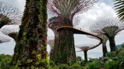 "Gardens by the Bay"