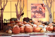 Set detail, as seen on Food Network?s Halloween Wars, Season 7.