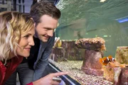 Die "Xenius"-Moderatoren Emilie und Adrian beobachten einen neu angelieferten Clownfisch. Dieser muss einen Monat im Quarantänebecken schwimmen, bevor er in das große Korallenriff des Aquariums übergesiedelt wird.