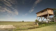 Der Seewinkel in Servus TV's "Sommergluecksmomente - Im Burgenland" in Oesterreich.