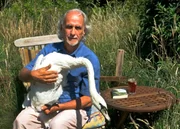 Das Leben von Gerhard Batt änderte sich schlagartig. Als vor einiger Zeit ihm Passanten ein Schwanenküken vorbei brachten, wurde er unfreiwillig zum Schwanenvater. Und so entstand eine Schwanenliebe in einer ungewöhnlichen Wohngemeinschaft: Gerhard Batt ist Familienersatz für den Wasservogel und umgekehrt vermutlich auch.