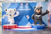 Mascots of the XXIII Olympic Winter Games. White tiger Soohorang and black bear Bandabi are symbols of the 2018 Winter Olympics and Paralympics in PyeongChang.