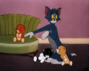 Bei Tom und Jerry ziehen vorübergehend drei Katzenbabys ein. Die vermeintlich lieben Geschöpfe entpuppen sich allerdings als kleine Tyrannen, die den beiden das Leben schwer machen.