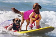Das Surferteam Hanzo (li.) und Kalani (re.) beim fünften Surf City Surf Dog in Huntington Beach