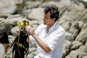 <p>Rodolfo Guzmán entdeckt ganz neue Verwendungsmöglichkeiten der Algenart Cochayuyo.</p>