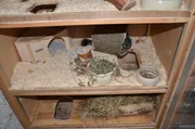 Ein Chinchilla-Gehege sollte mehrere Stockwerke haben. Wenn die Tiere klettern, können sie nicht tief fallen und sich verletzen.