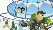 Martin, Stella (li.) und Chloe fliegen mit der Tortuga in die Prärie.