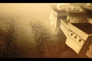 Zwischen Trojanern und Griechen entflammt ein unerbittlicher Krieg.