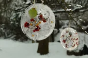 Wie bastelt man Eistaler? Tipps dazu gibt es in "Querbeet".