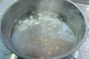 Waschlotion aus Seifenkraut.