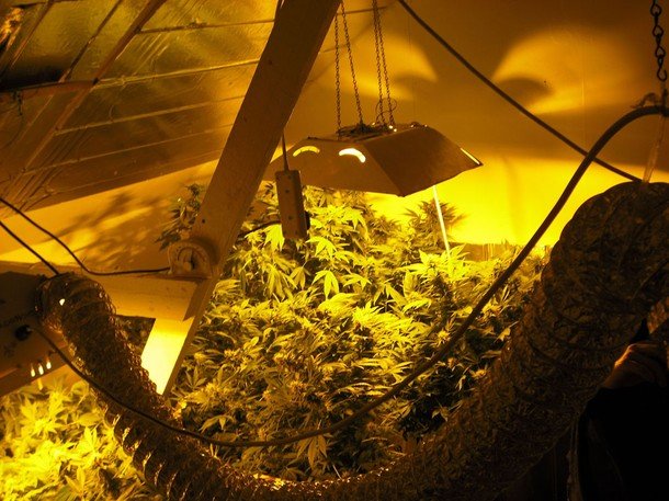 A marijuana grow house.