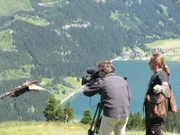 Ulrich Schramm und Steinadler Sky sind ein eingespieltes Team. Trotzdem ist es nicht leicht, dem flinken Raubvogel zu folgen!