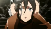 Mikasa