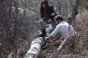 Gabe and Bird look for wood to help with siding Rain's new home.