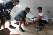Von Vietnam über Hong Kong und Kambodscha bis nach Thailand und weiter: Die beiden Jungköche Moe (l.) und Hannes (r.) begeben sich als "Geschmacksjäger" auf eine kulinarische Entdeckungsreise durch Südostasien.