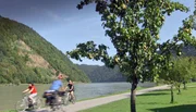 Unterwegs auf dem Donauradweg Richtung Linz.