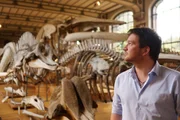Der Biologe Ben Garrod ist von der Skelett-Sammlung im Nationalen Naturhistorischen Museum in Paris begeistert.