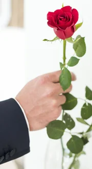 In der 'Nacht der Rosen' muss der Bachelor entscheiden, mit welchen Damen er noch mehr Zeit verbringen möchte: Nur wer von ihm am Ende einer Sendung eine rote Rose erhält und sie auch annimmt, darf bleiben!