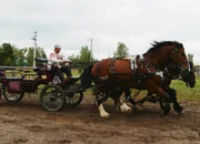 Russische Troika (3-Spänner)