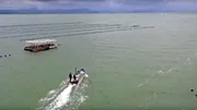 Austernzucht an der Küste von Florianopolis