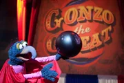 Gonzos Auftritt während der Spendengala geht völlig nach hinten los. Ob die Muppet-Studios trotzdem gerettet werden können?