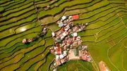 Die Reisterassen von Banaue reichen bis in eine Höhe von 1500 m über dem Meer.