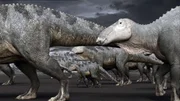 Wie haben die Dinos den plötzlichen Wintereinbruch vor 70 Millionen Jahren erlebt? Wie haben sie auf die Blizzards, Bergrutsche und eisigen Landschaften reagiert? Diese Dokumentation erzählt die Flucht der Dinosaurier aus dem Eis.