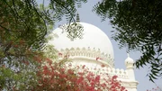 Die größte bisher gefundene islamische Nekropole Indiens mit Gartenanlagen.