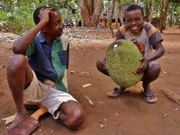 Rashidi (l.) und Hamisi mit einer bis zu 15 kg schweren Jackfrucht.