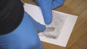Fingerabdrücke sind die häufigsten Spuren bei Einbrüchen.