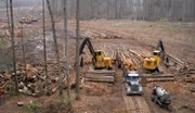 Fourth generation logger Bobby Goodson is one of the rare breed of swamp-loggers working the murky, dangerous swamps of North Carolina in search of high value timber for everything from paper products to construction grade lumber.