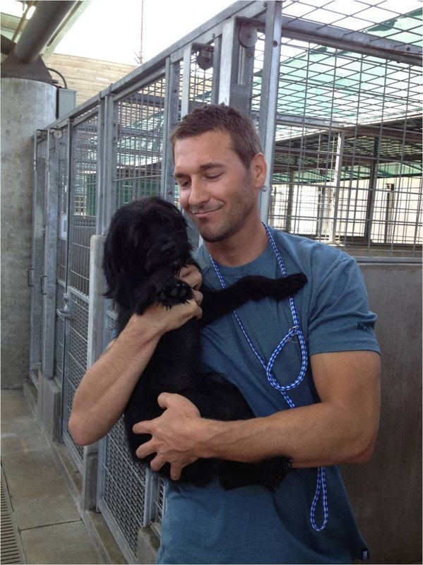Der Hundetrainer Brandon Der Hundetrainer Brandon