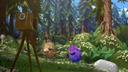 Kiwi und Strit wollen die Blumen vor der Waldkuh beschützen.